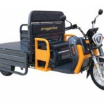 Triciclu Electric Cargo Progarden TRIVO 3000, 25km/h, 72V, 58Ah, incarcator inclus